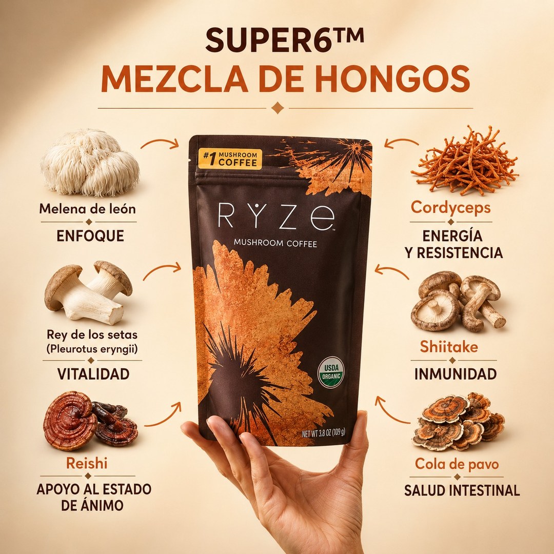Mezcla Super6 de seis hongos funcionales